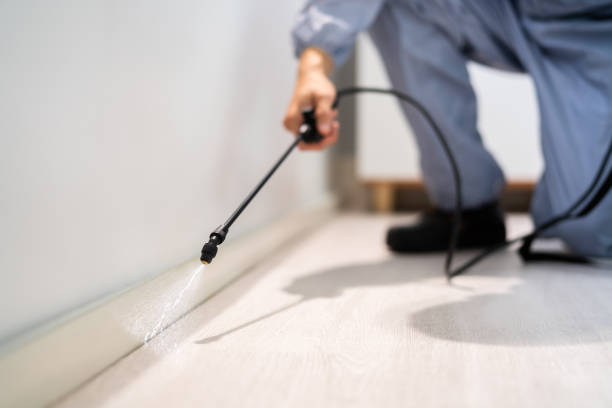 Licensed Cockroach Control service in Cortland, OH - Nex Pest Control