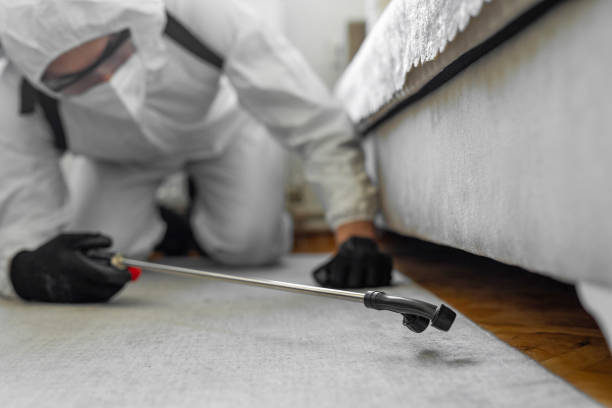 Professional Cockroach Control technician working in Cortland, OH